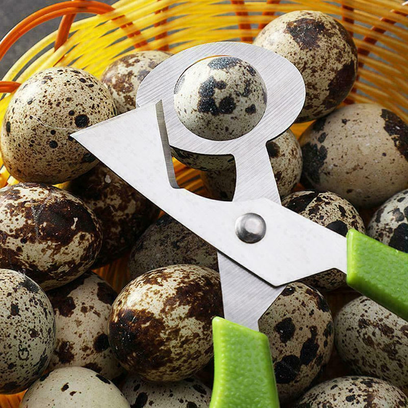 Pigeon Quail Egg Scissors Cracker Opener Cigar Cutter BEST P4K7 Tool Steel W6G5