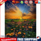 Flower Sunrise Drawing Frameless DIY Oil Paint by Numbers Canvas Home Decor