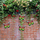 16.5cm Metal Butterfly Wall Hanging Sculptures Outdoor Butterfly Insect Decor