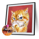 Full Round Drill Rhinestone Art DIY 5D Cat Diamond Painting Kit(A2420)