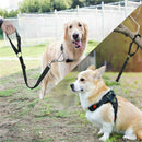 Seat Belt Restraint Harnesses Travel Restraint For Dog Safety Harnesses Lead