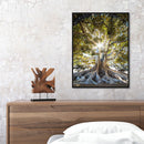 Life of Tree Oil Paint By Numbers DIY Coloring Picture for Adults Children