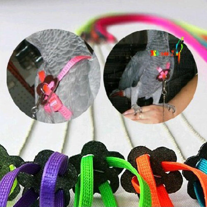 Bird Parrot Adjustable Harness & Leash Anti-bite Multicolor Light Soft  Newly