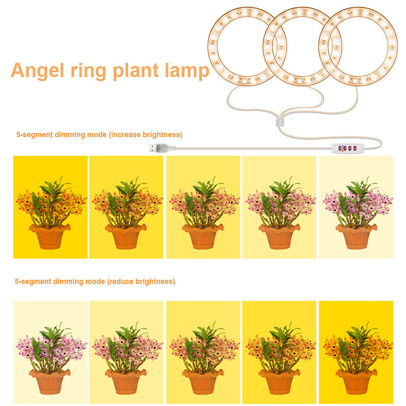 Angel Ring Plant Light Sunlight Phytolamp USB Nursery Lamp (One for Three) Newly