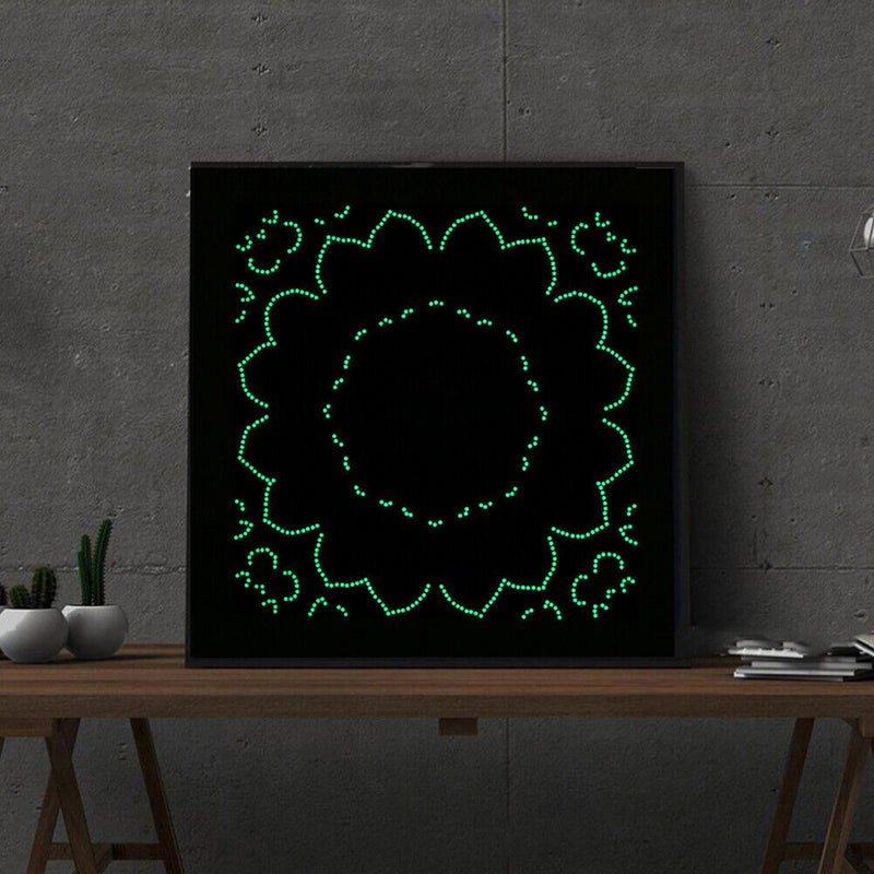 5D DIY Part Special Shaped Drill Diamond Painting Luminous Flowers (DZ551) Newly