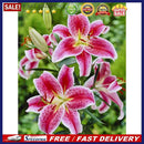 5D Diamond Painting Kit DIY Flowers Full Round Drill Mosaic Picture 30x40cm