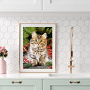 DIY Diamond Paintings Cute Cat Cross Stitch Embroidery Art Bead Picture Kits