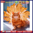 Orange Cat 5D DIY Full Round Drill Diamond Painting Rhinestone Handmade Cra
