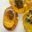 Beautiful Amber Hornet Fossil Insects Manual Polishing Decor O8N5