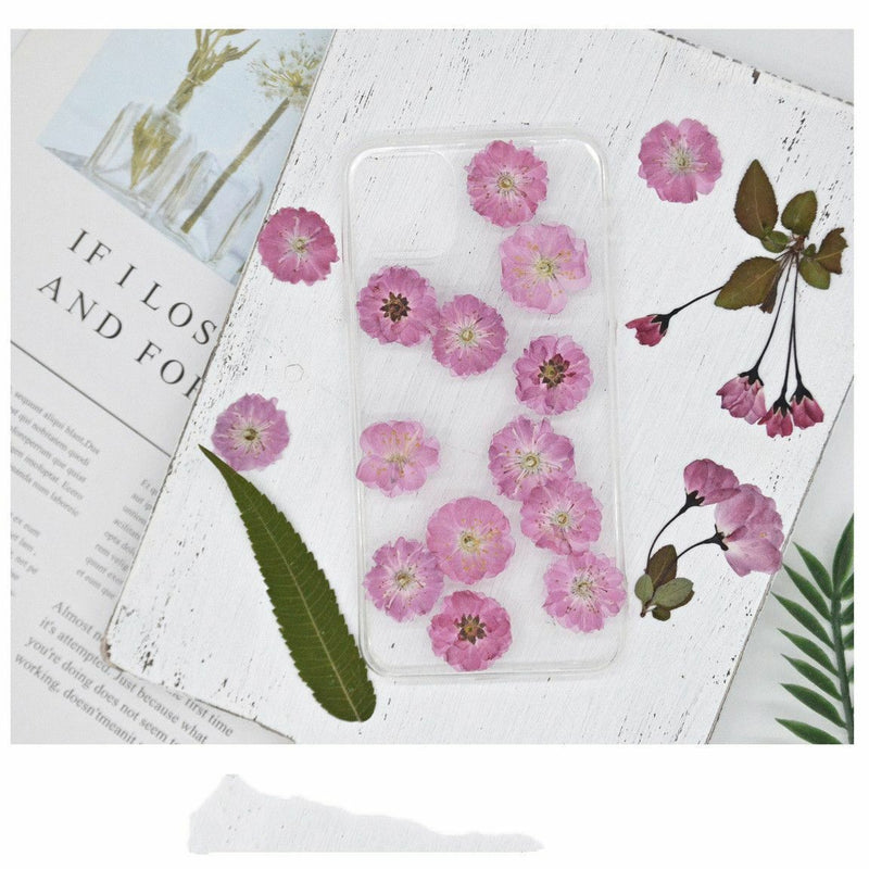 DIY Jewelry Making Decoration Crafts Sakura Pressed Flowers Real Dried Flowers