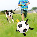 Funny Interactive Puppy Palying Ball Toys Rubber Dogs Chewing Training Ball