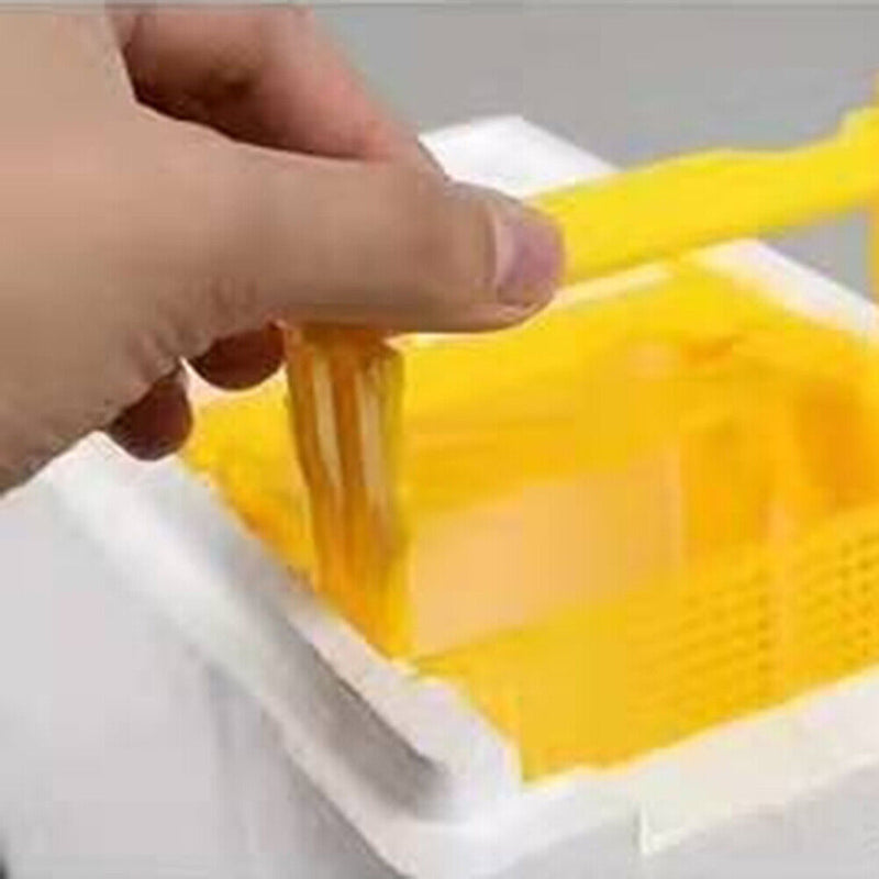 Beehive Pollination King Bees Hive Box Beekeeping Case Beekeeper Supplies Newly