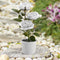 #A 3LED Rose Flower Solar Light Bonsai Flowerpot Garden Indoor Balcony Decor Lam