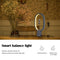 USB Balance LED Table Lamp Magnetic Mid-air Switch Night Light (Dark Grey)