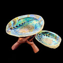 Abalone Shell Stand Holder Holy Wooden DIY Sage Accessory Yoga Healing Purific