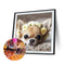 DIY Diamond Painting Kits Full Square Drill Flower Puppy Mosaic Home Decorati