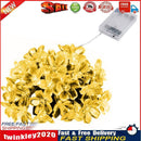 40 LED Cherry Blossom Fairy Light String for Wedding Decor (Warm Light 6m) Newly