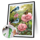 #A Bird on Branch Oil Paint By Numbers Kit DIY Frameless Drawing Picture for A