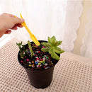 2x Bonsai Fertilizer Punchers Garden Lifter Transplanting Seedling Planting Tool