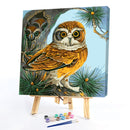 DIY Paint By Number Kit Owl Animals Acrylic Paint Home Office Art Craft Gifts