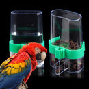 Parrot Feeder Cockatiel Water Dispenser Parakeet Bird Food Feeder Automatic
