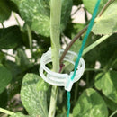 Plant Vine Fixing Clamp Hanging ling Clamp Gardening Plant Frame D8R1 L1E4