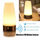 Hot Warm Battery Powered LED Motion Sensor PIR Night Light Wireless