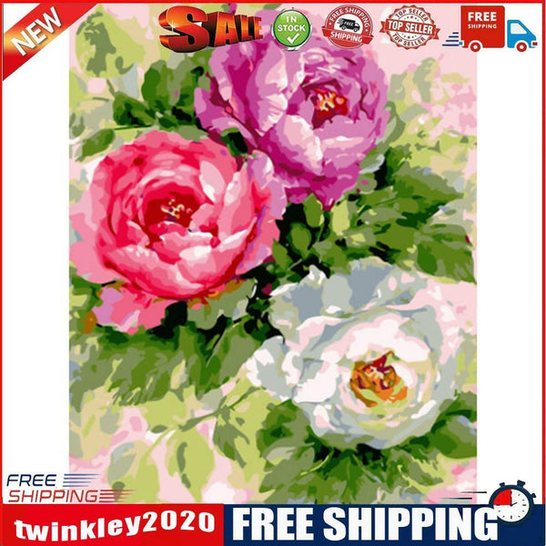 40x50cm Oil Painting By Numbers Three Flowers DIY Canvas Drawing No Frame