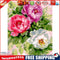 40x50cm Oil Painting By Numbers Three Flowers DIY Canvas Drawing No Frame