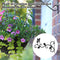 Plant Flower Pot Storage Basket Hook Iron Holder Home Romantic Decorati