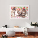 5D DIY Diamond Painting Full Drill Three Kittens Embroidery Cross Stitch Animal