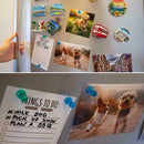 6pcs strong neodymium noticeboard skittle men pin magnets whiteboard fridge B9H1