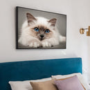 Drill Point Handicraft 5D Burmese Cat Full Drill Diamond Painting for Wall Gift