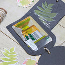 Metal Cutting Dies Stencils for DIY Scrapbooking Photo Embossing (H-671)