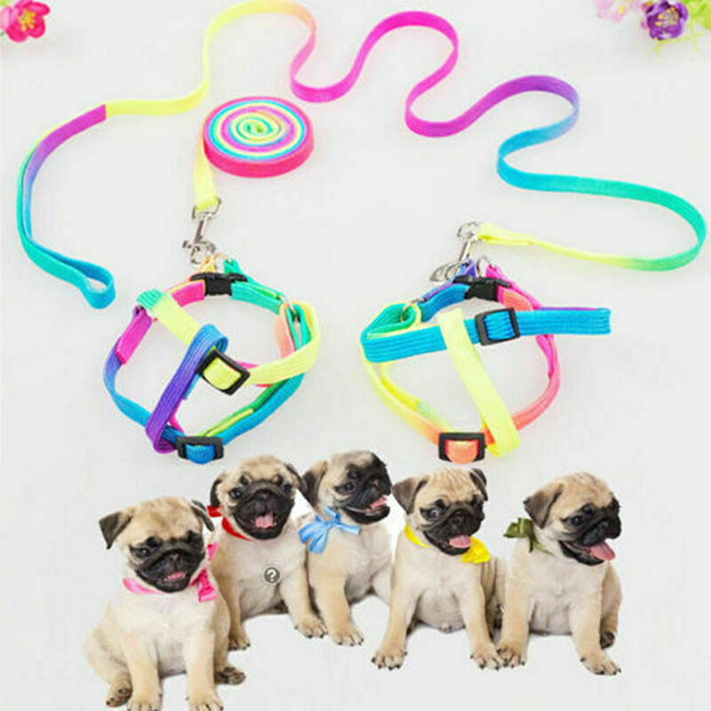 SMALL PET DOG PUPPY MATCHING COLLAR AND LEAD SET NYLON ADJUSTABLE CA P8C7