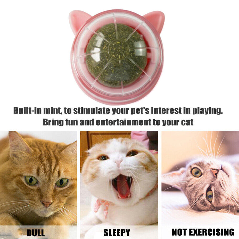 Catnip Ball Cat Toys Licking Teeth Chewing Pet Training Bite Balls (Pink)