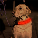 Dog Cat Luminous Necklace Large Medium Small Dogs Anti Lost Harness Accessori