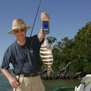 Maßgeschneiderter HANDGESCHMIEDETER DAMASKUS Stahl Jagd Skinner Fix Klinge Messer + Mantel B3-3273