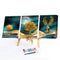 Canvas Paint By Numbers Golden Deer 3 Panel Oil Hand Painted Home Drawing Kit