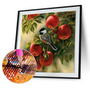 5D Square Diamond DIY Diamond Painting Fruit Bird Embroidery Cross Stitch Newly