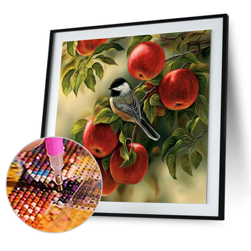 5D Square Diamond DIY Diamond Painting Fruit Bird Embroidery Cross Stitch Newly