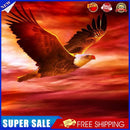 5D DIY Diamond Painting Kits Full Round Drill Eagle Mosaic Picture Wall Art