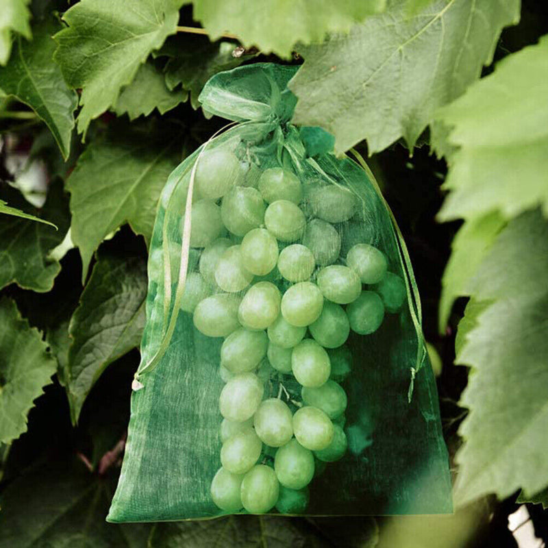 50pcs Garden Drawstring Net Bags Vegetable Fruit Grapes Protection Pouch Newly