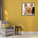 5D Diamond Painting Kit Yorkshire Terrier Full Square Drill DIY Art Craft Mosaic