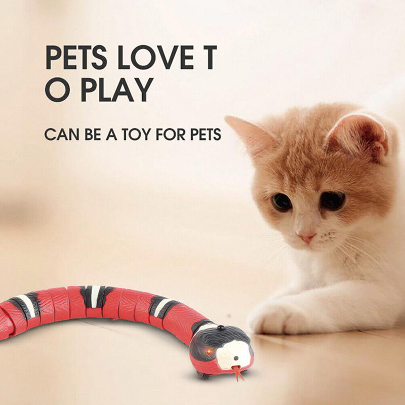 Smart Sensing Cat Toys Interactive Teaser USB Cat Teaser Indoor Play Kitten
