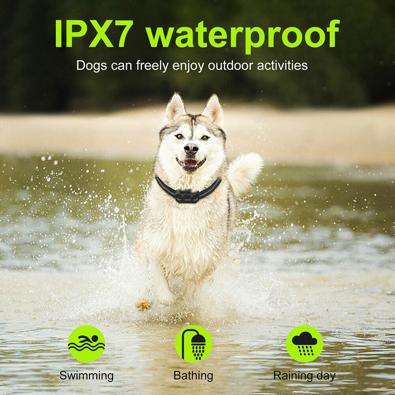 3 Modes Anti Bark Collar with Lights Waterproof Stop Barking Collar Pet Products