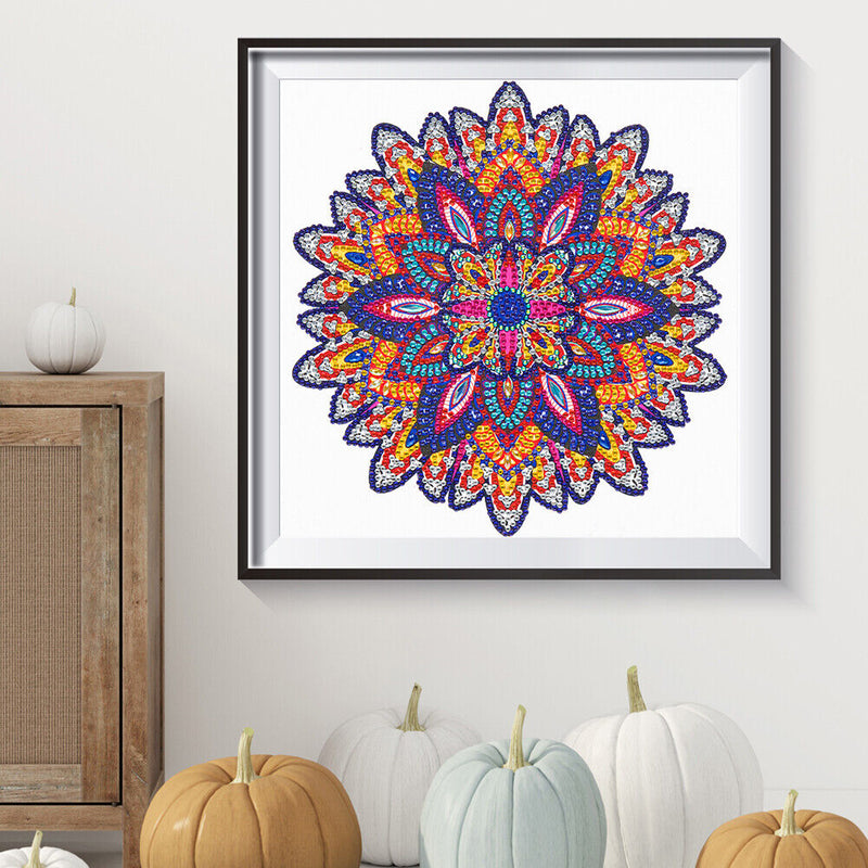 Partial Drill 5D Special Shape Diamond Painting Abstract Mandala Kit (X053)