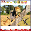 Jigsaw Puzzle 1000pcs DIY Lion Adults Children Educational Assembling Game To