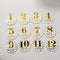 Newborn Baby Monthly Stickers Pregnant Women 1-12 Milestone Memory Photo Props