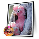 5D Diamond Painting Kit Animals Full Round Drill DIY Wall Art Crafts Mosaic